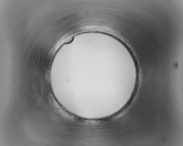 X0000111891529200908201309