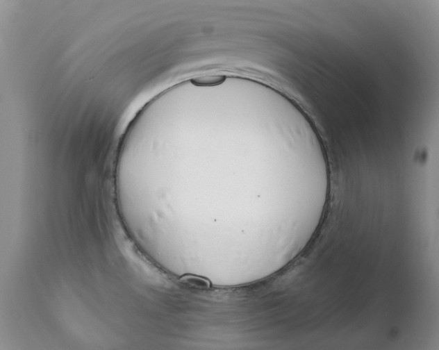 X0000111891530200908201309