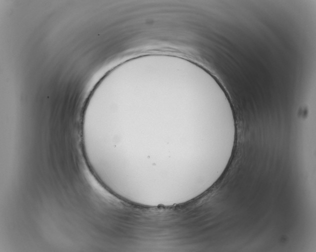 X0000111891531200908201309