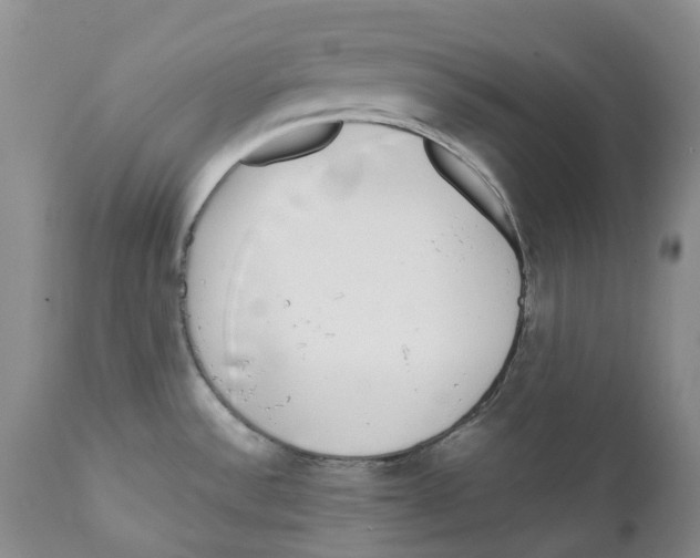 X0000111891532200908201309