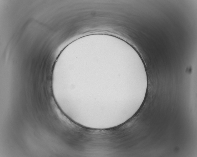 X0000111891534200908201309