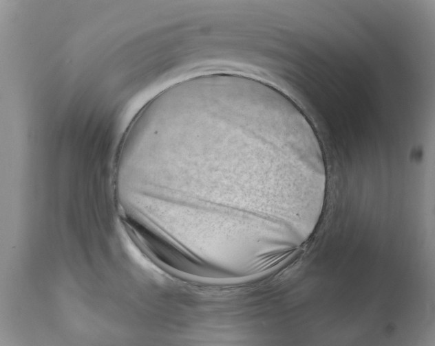 X0000111891535200908201309