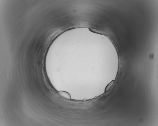 X0000111890001200909031916