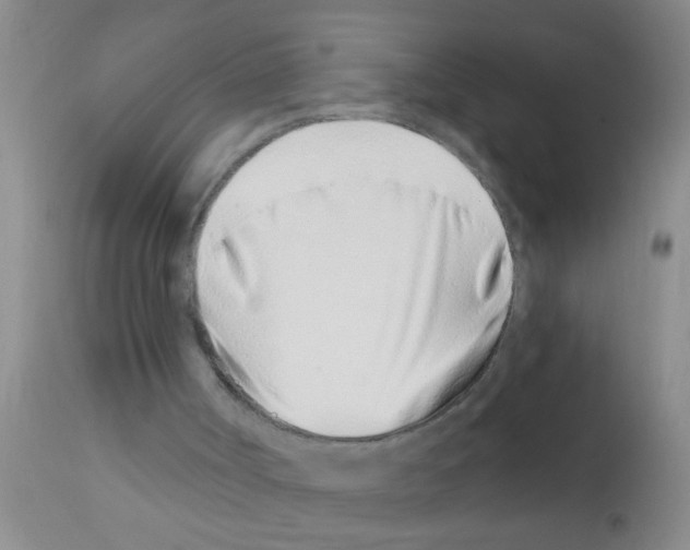 X0000111890002200909031916