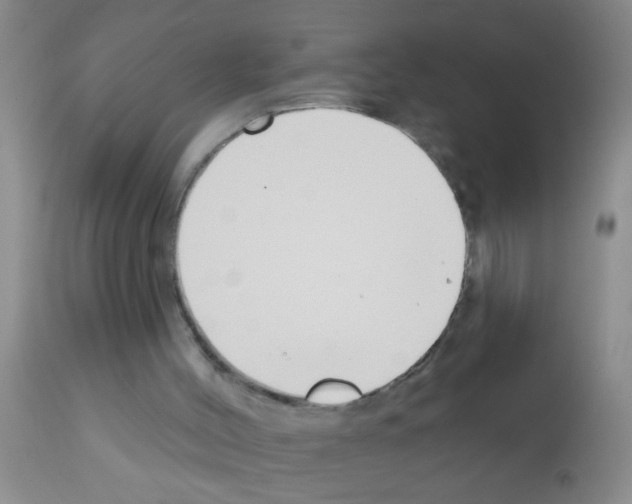 X0000111890004200909031916