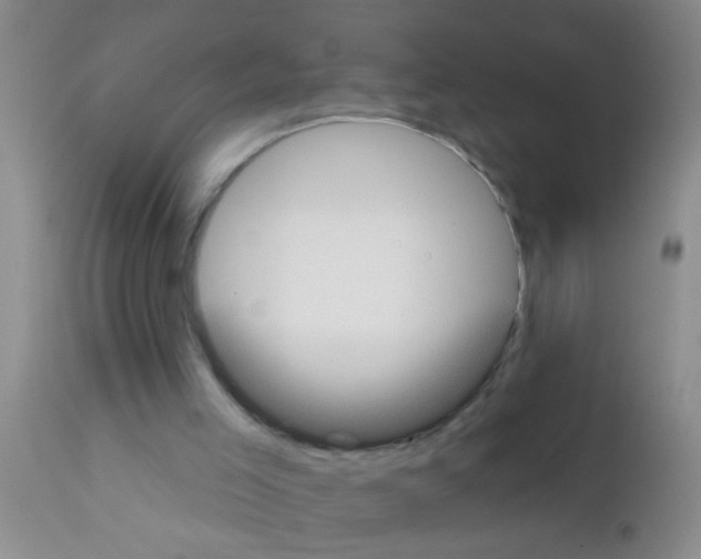 X0000111890005200909031916