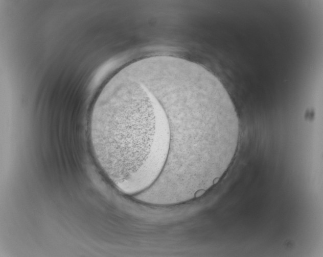 X0000111890006200909031916