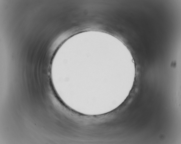 X0000111890007200909031916