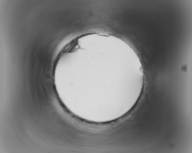 X0000111890008200909031916