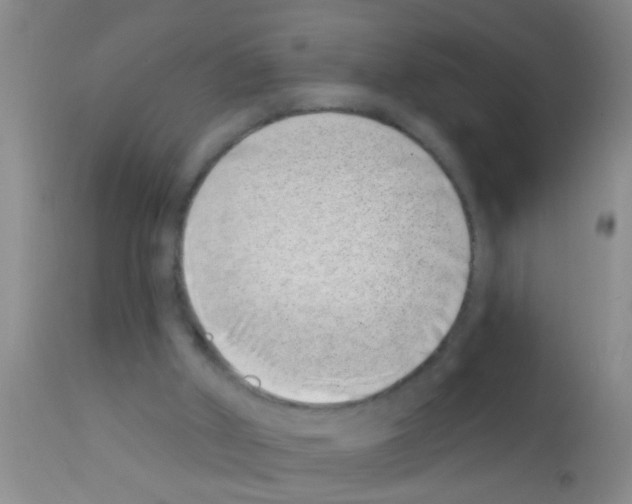 X0000111890010200909031916