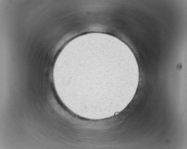 X0000111890011200909031916