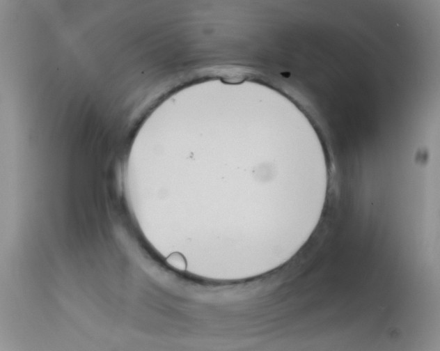 X0000111890013200909031915