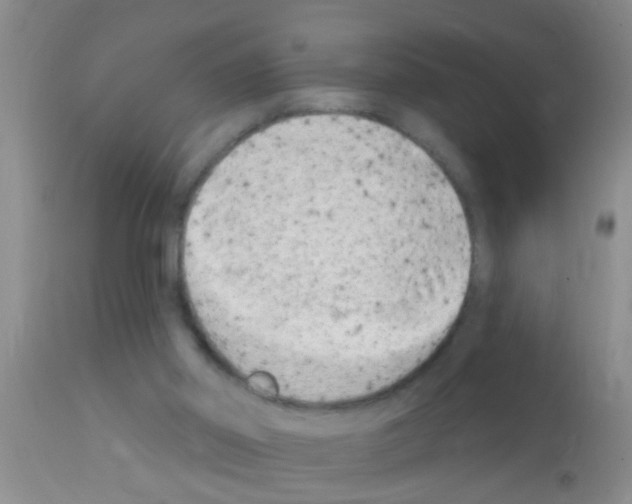 X0000111890014200909031915