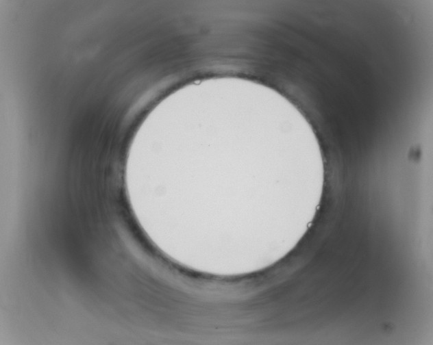 X0000111890016200909031915