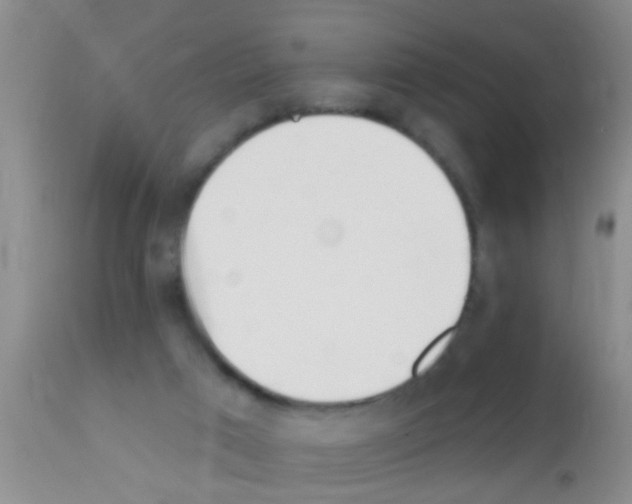 X0000111890017200909031915