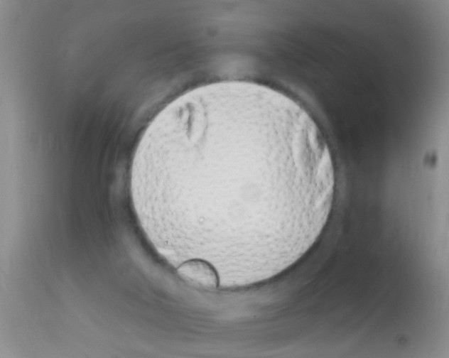 X0000111890018200909031915