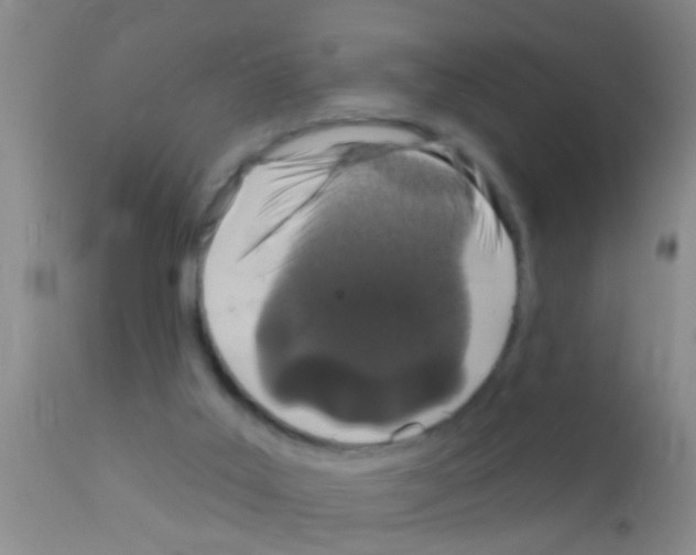 X0000111890019200909031915