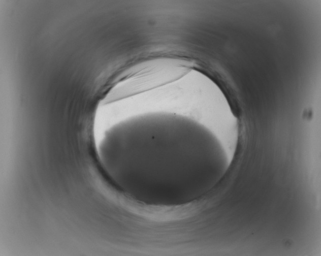 X0000111890023200909031915