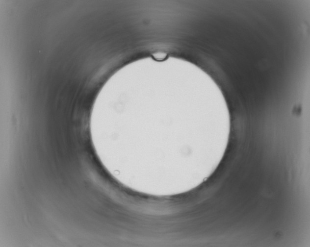 X0000111890024200909031915