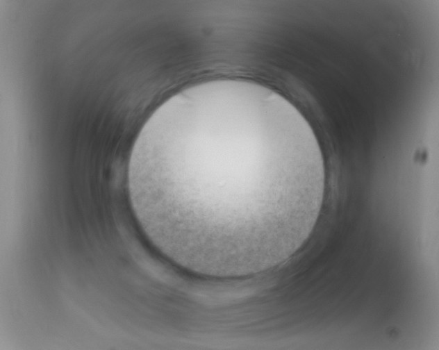 X0000111890025200909031915