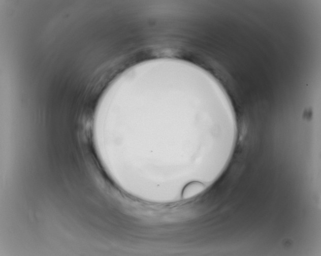 X0000111890026200909031915