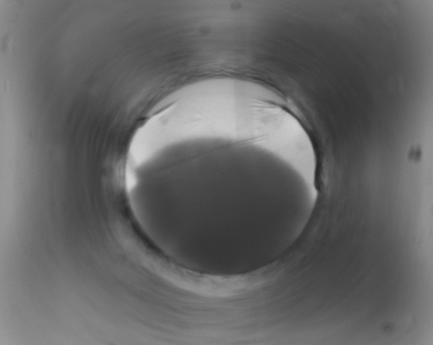 X0000111890027200909031915