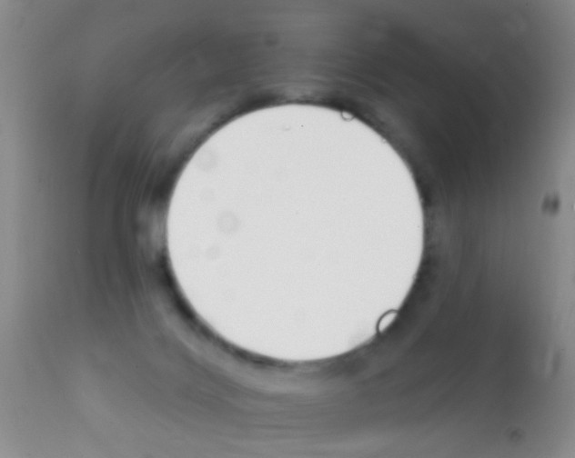 X0000111890028200909031915