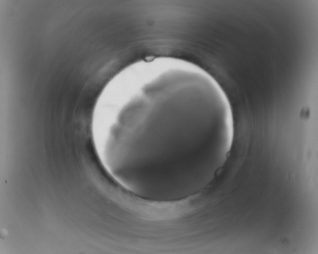 X0000111890031200909031915