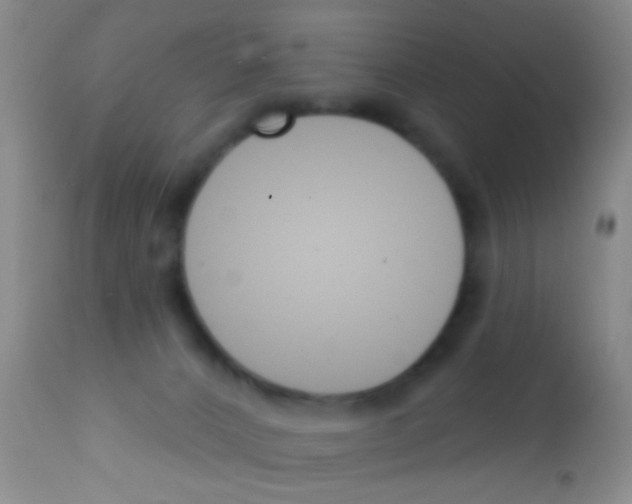 X0000111890032200909031915