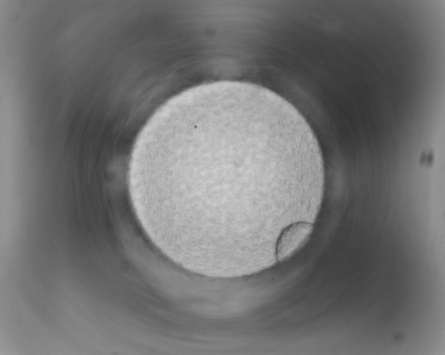 X0000111890034200909031915