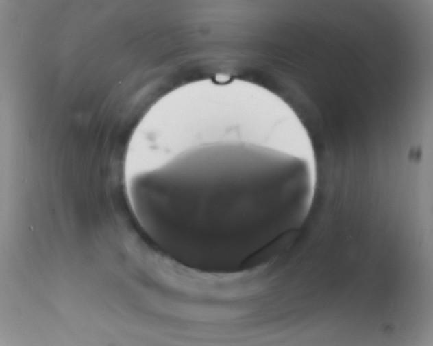 X0000111890035200909031915