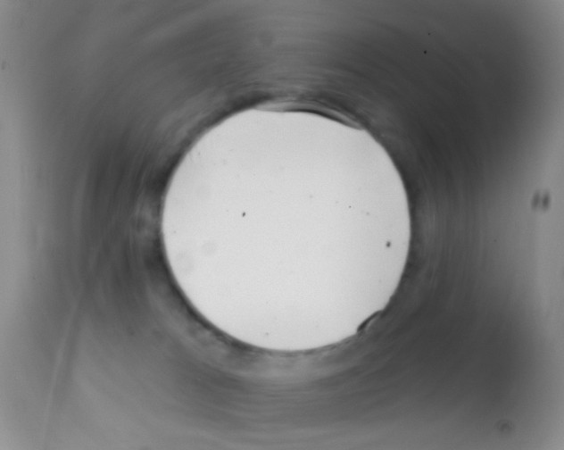 X0000111890037200909031915