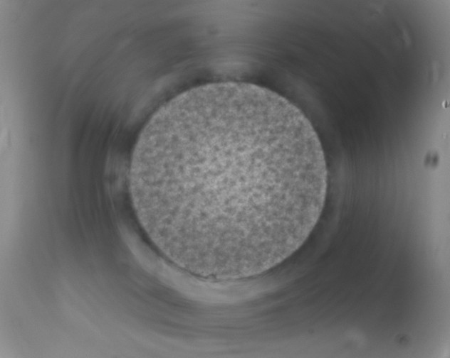 X0000111890038200909031915