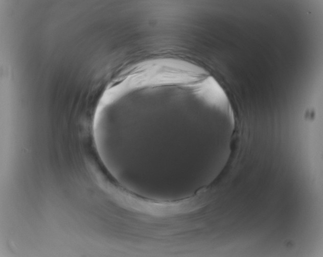 X0000111890039200909031915