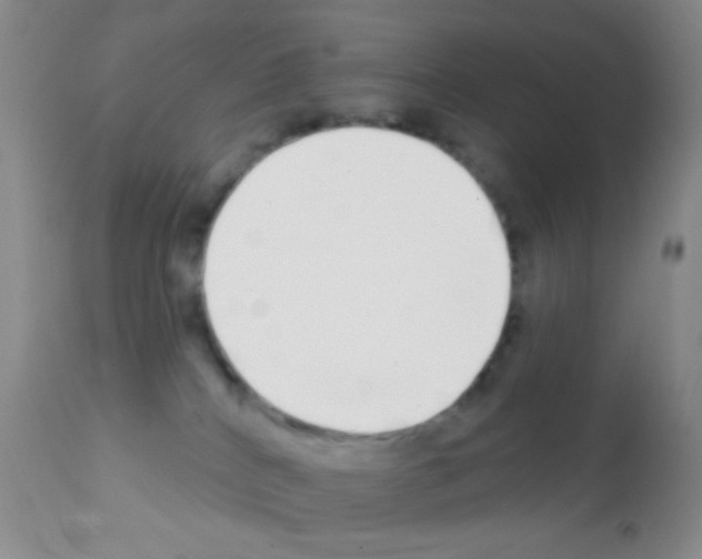 X0000111890040200909031915