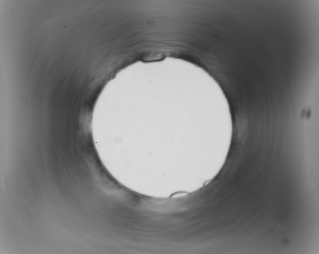 X0000111890041200909031915