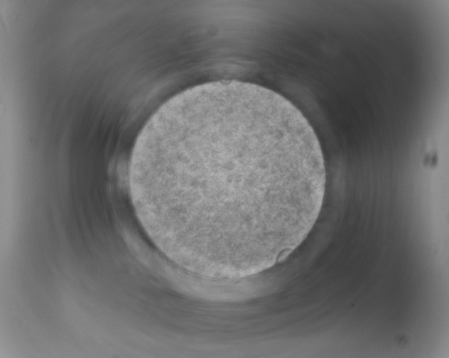 X0000111890042200909031915