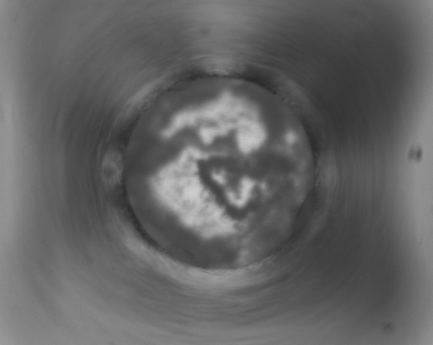 X0000111890043200909031915