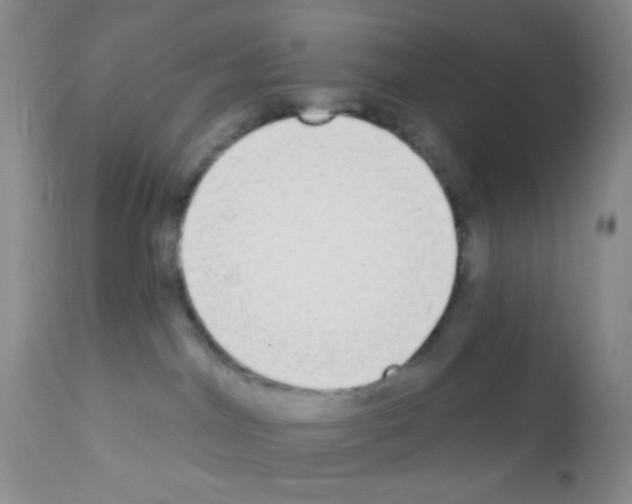 X0000111890044200909031915