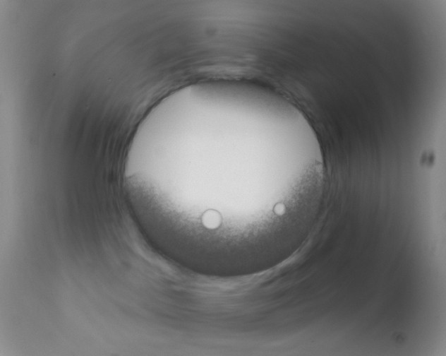 X0000111890045200909031915