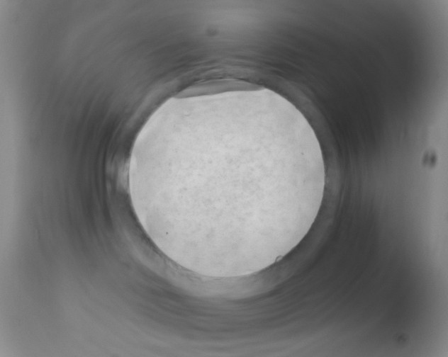 X0000111890046200909031915