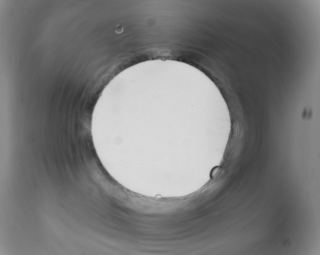 X0000111890048200909031915