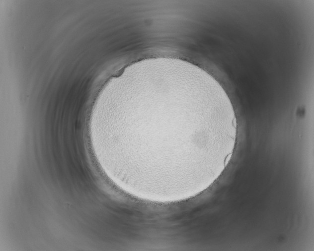 X0000111890049200909031914