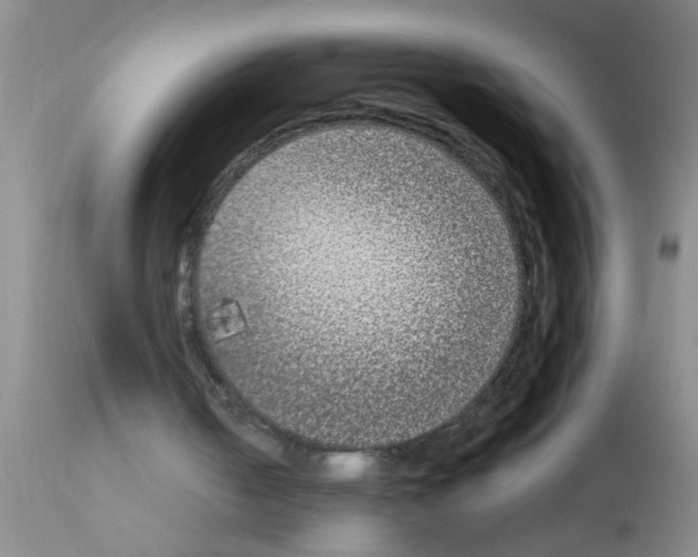 X0000111890050200909031914