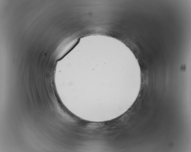 X0000111890051200909031914