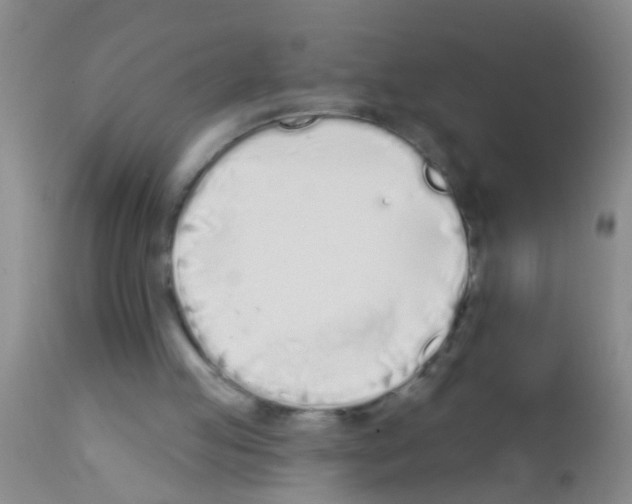 X0000111890053200909031914