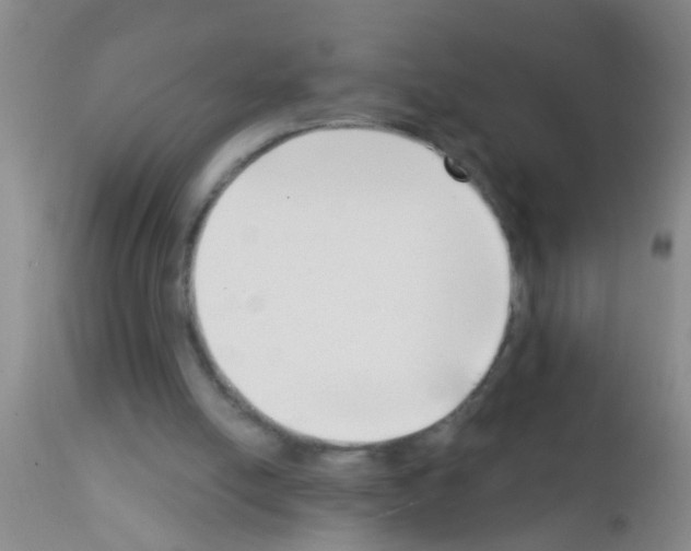 X0000111890054200909031914