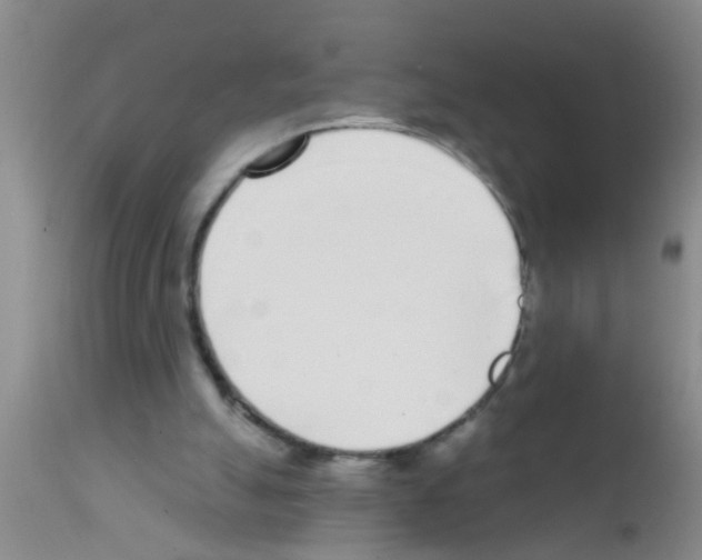 X0000111890055200909031914