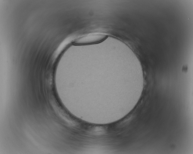 X0000111890056200909031914