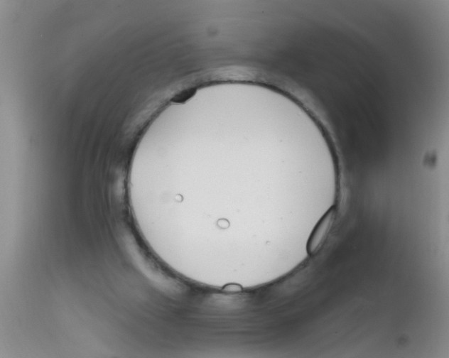 X0000111890057200909031914